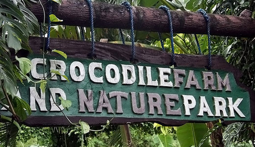 Palawan Crocodile Farm