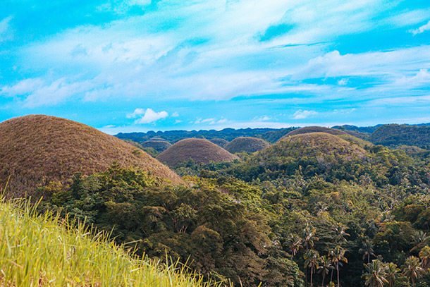 Chocolate Hills Up Close