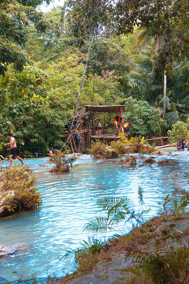 Vegetation at the Cambugahay Falls