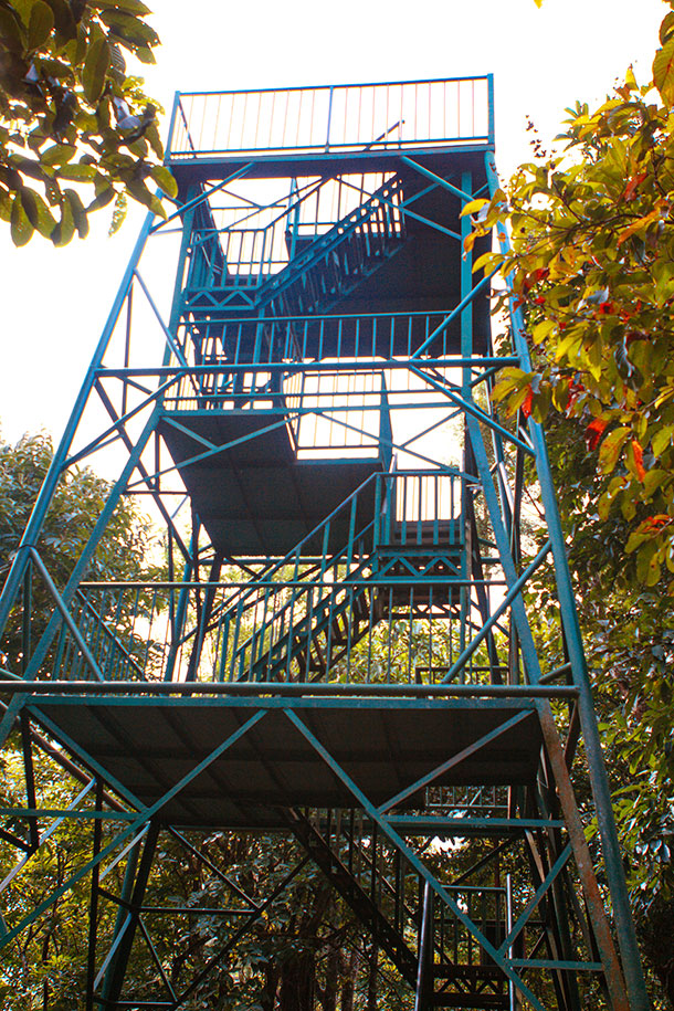 Watch Tower