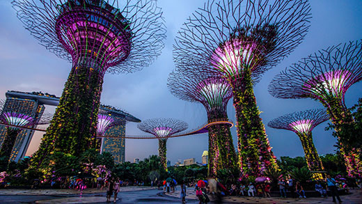 Gardens by the Bay Singapore