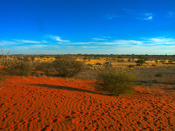 Kalahari Desert