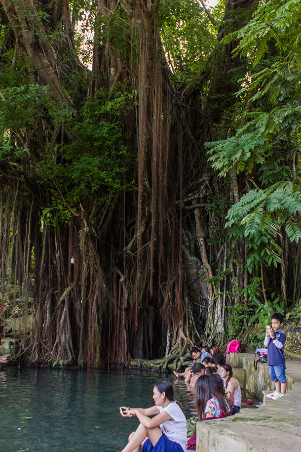 Fish Spa at the Century Old Balete