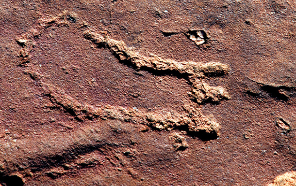 Matsieng Footprints