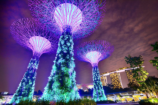 Gardens By The Bay