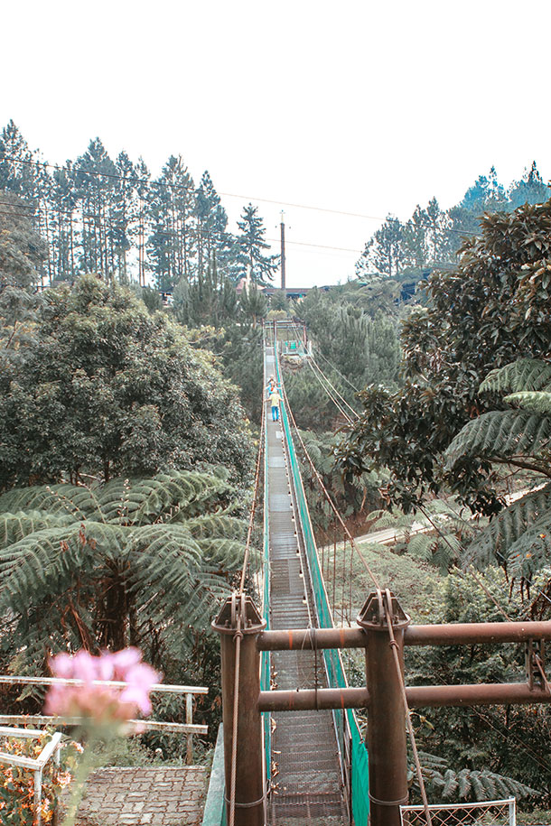 Hanging Bridge