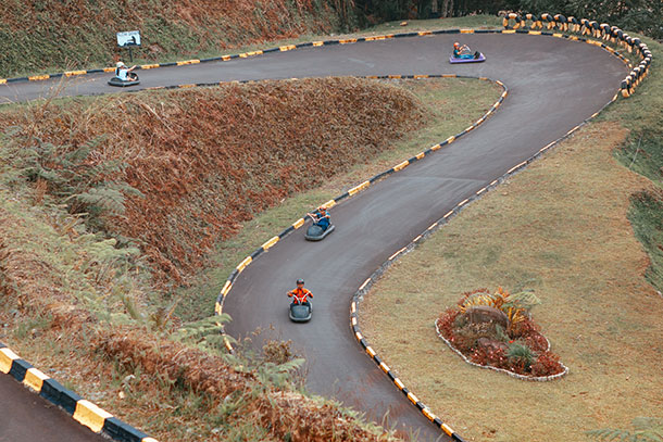 Forest Luge Track
