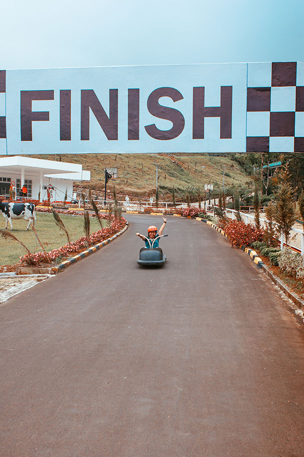 Forest Luge Finish Line