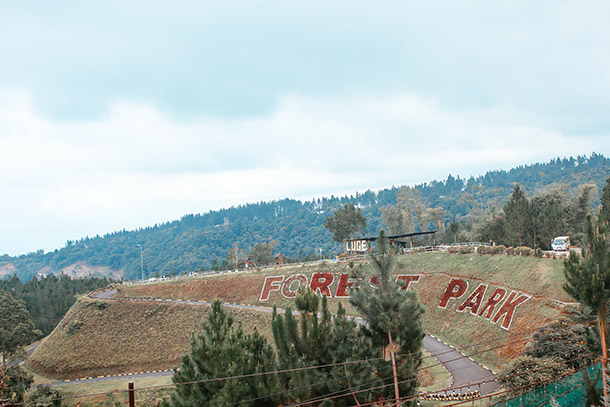 Forest Luge Track