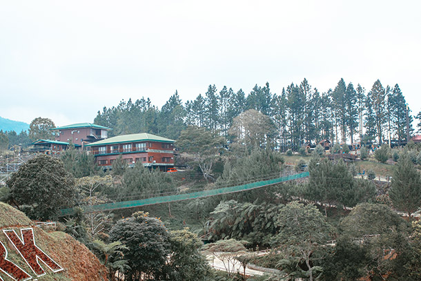 Hanging Bridge at the Dahilayan Forest Park