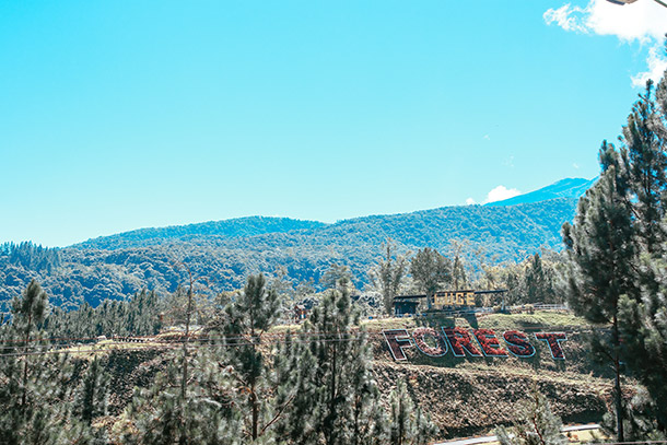 View from Dahilayan Adventure Park