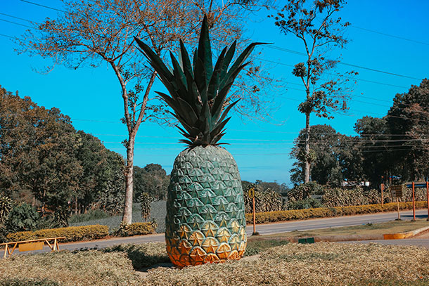 Camp Phillips Pineapple Statue