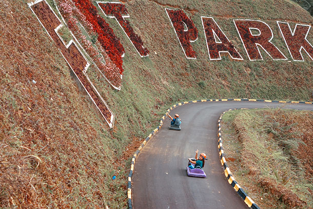 Dahilayan Forest Park Forest Luge