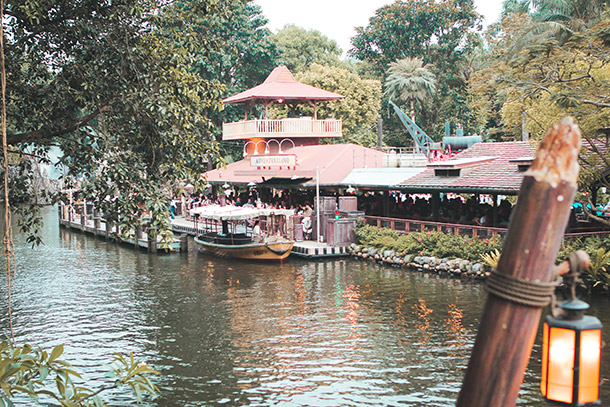 Jungle River Cruise for Families
