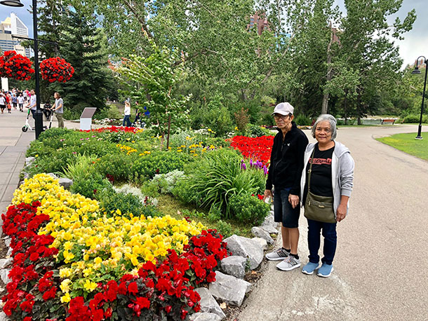 Flowers at Prince Island