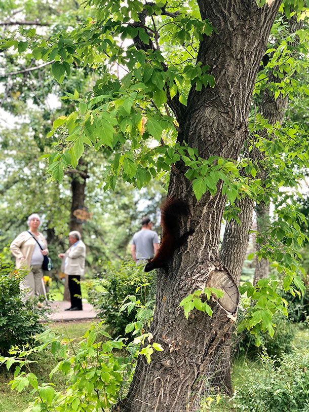 Gain Knowledge While Sightseeing at the Prince's Island Park