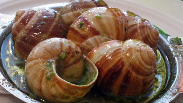 The Traditional Food In France