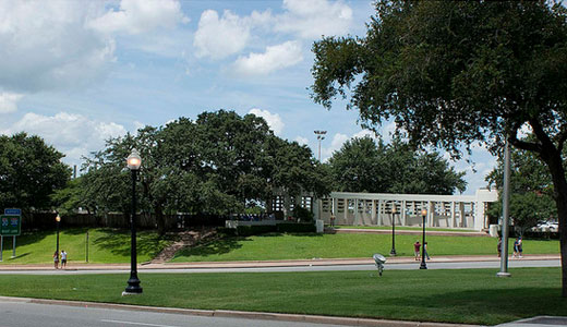 Grassy Knoll