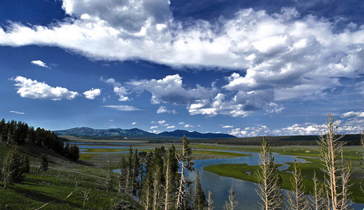 Hayden Valley