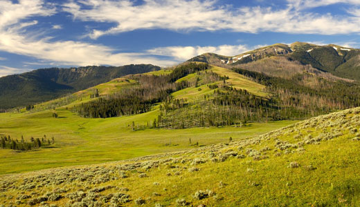 Lamar Valley