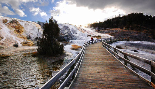 Mammoth Hot Springs