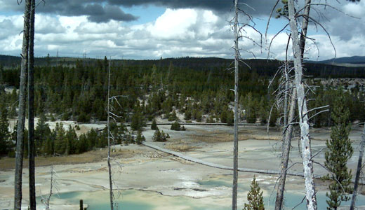 Norris Geyser Basin