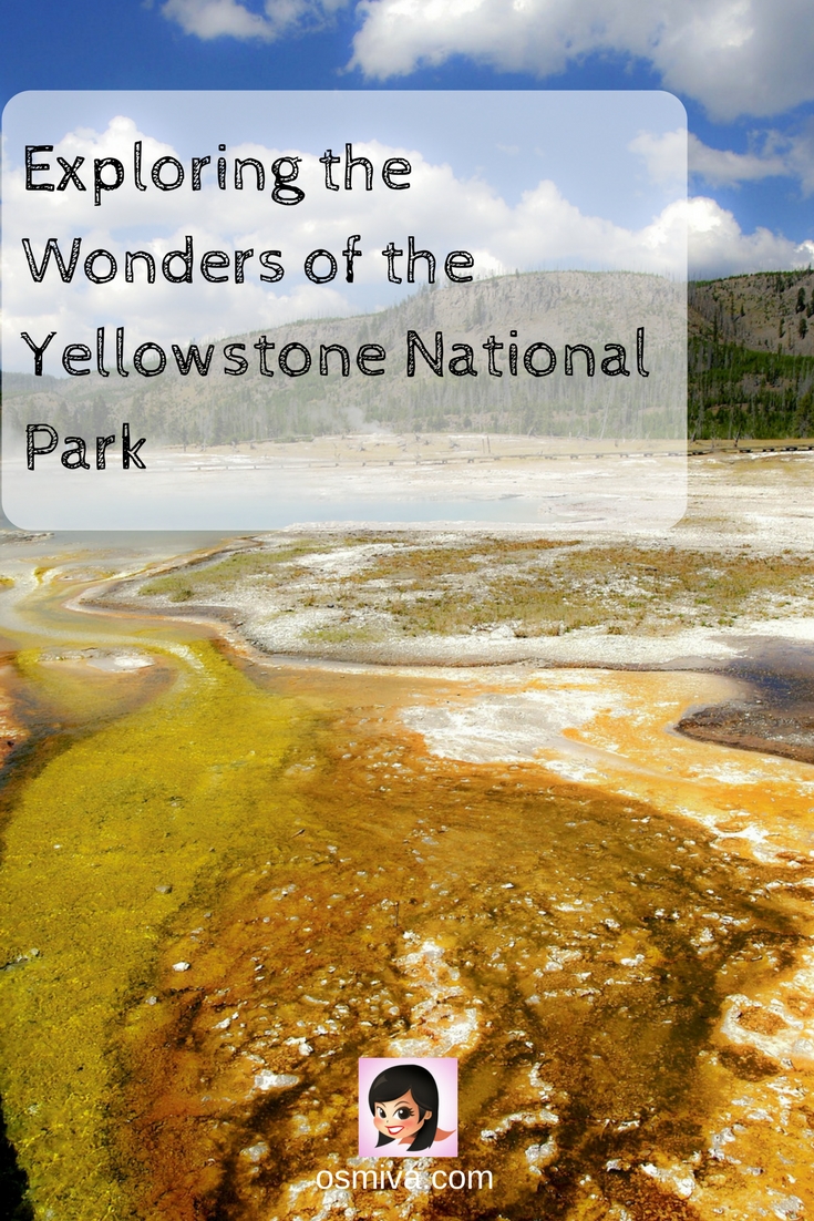 Exploring the Wonders of the Yellowstone National Park #yellowstonenationalpark #nationalparkguide #yellowstoneguide #travelguide #osmiva