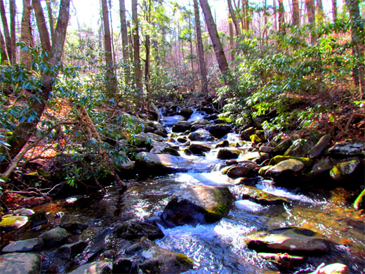 rainbow creek