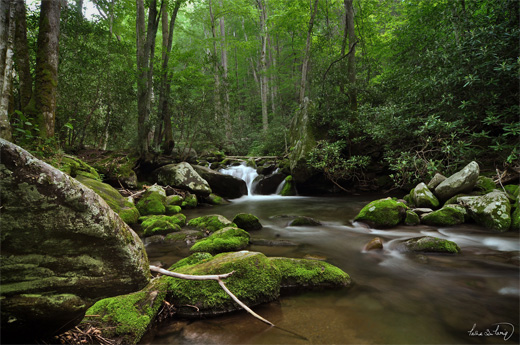 roaring fork smok mountains