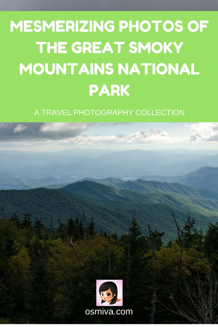 Mesmerizing Photos of the Great Smoky Mountains National Park #travelphotography #greatsmokymountains #smokymountainsnationalpark #osmiva