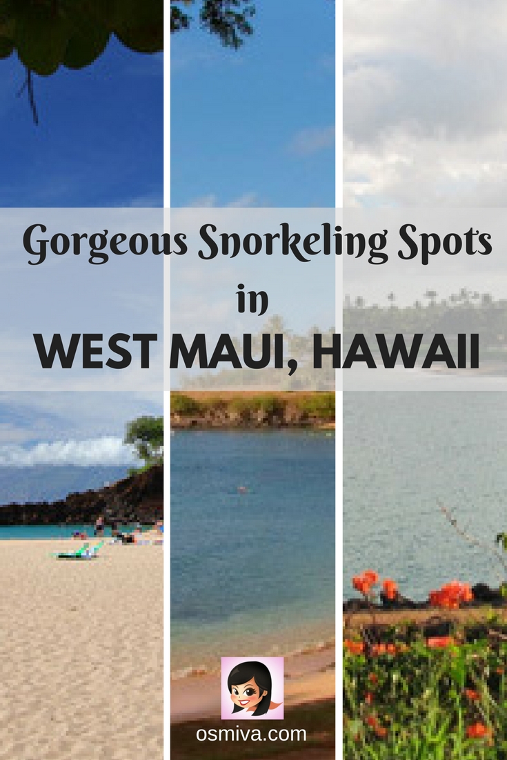 West Maaui, Hawaii. Travel Destinations. Travel Ideas. Hawaii. Snorkeling Spots in West Maui, Hawaii. Gorgeous Snorkeling Spots in West Maui, Hawaii #westmaui #hawaii #snorkelingspots #osmiva