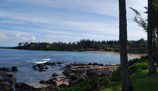 Napili Bay
