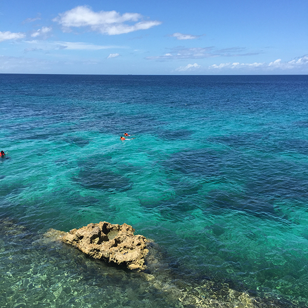 Snorkeling Fantastic Island