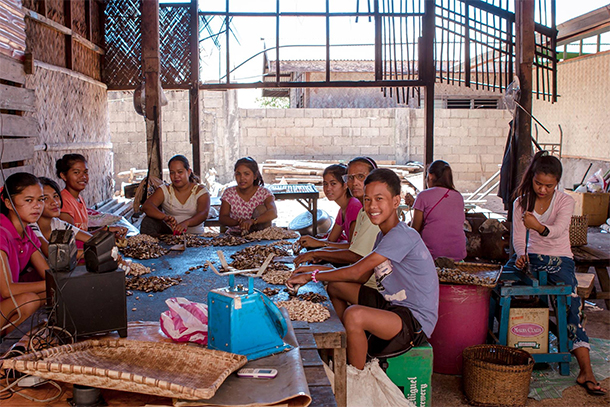 Coron Palawan Town Tour Cashew Harvest Factory