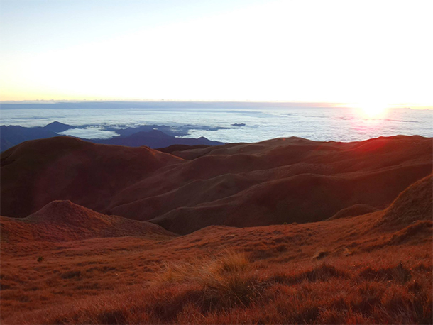 Trekking Mt. Pulag Sea of Clouds View