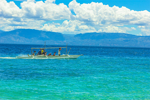 Things To Do In Moalboal, Cebu Sea Turtle Watching