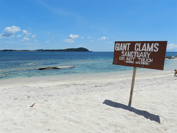 Calauit Safari Tour North Cay Giant Clams Sanctuary