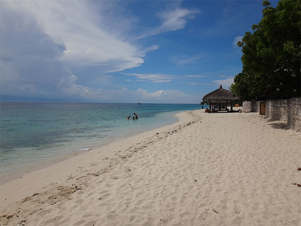 Things To Do In Moalboal, Cebu Beach Front