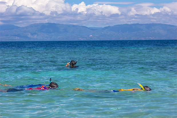 Things To Do In Moalboal, Cebu Snorkeling