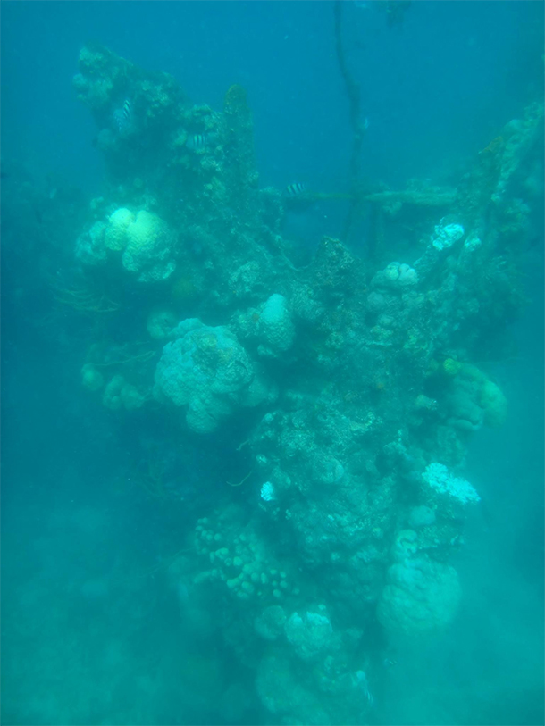 Coron Ultimate Tour Ship Wreck