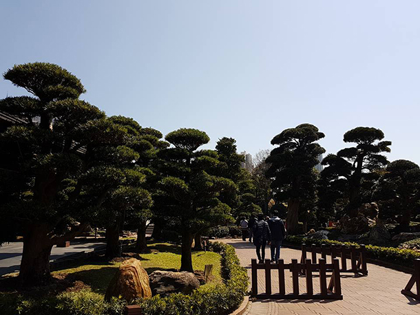 Nan Lian Garden Plants