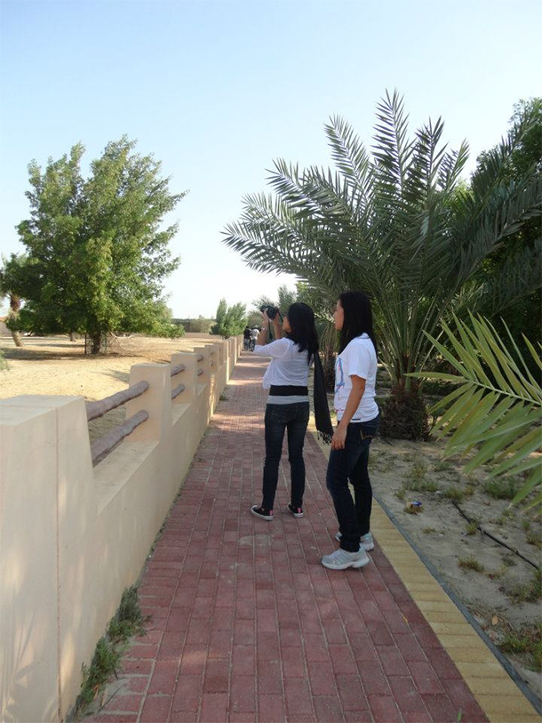 Bahrain Attractions Al Areen Pathway