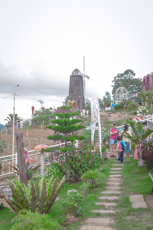 Cebu Day Tour Sirao Flower Farm