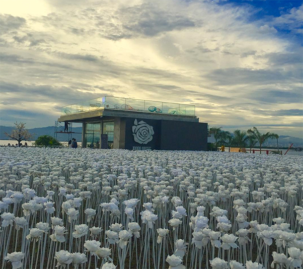 Cebu Day Tour 10,000 Roses Café