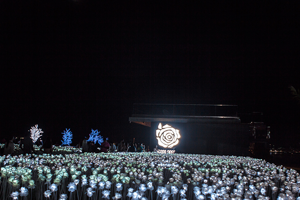 Cebu Day Tour 10,000 Roses