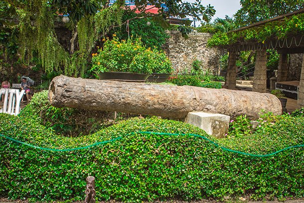 Cebu Day Tour Fort San Pedro Canons