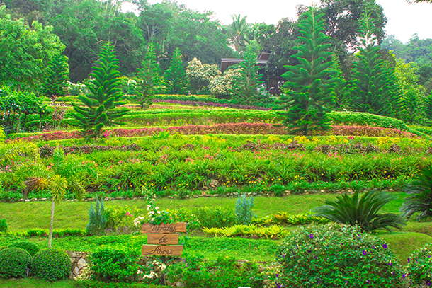 Balamban Cebu Road Trip Terrazas de Flores