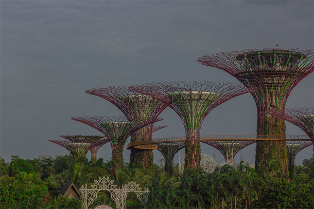 Things to Do Singapore: Gardens By the Bay