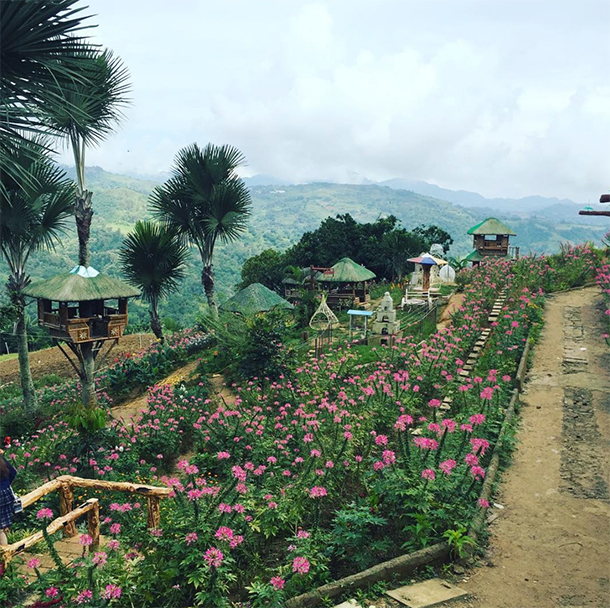 Balamban Cebu Road Trip Sirao Flower Farm