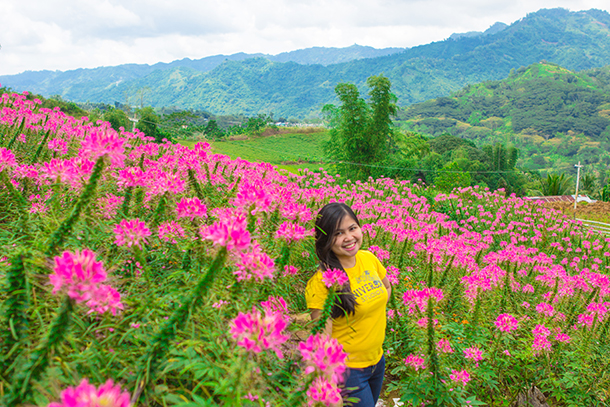 Balamban Cebu Road Trip Sirao Flower Farm